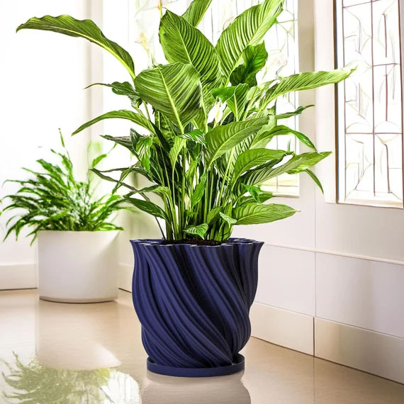 Large Ceramic Planters
